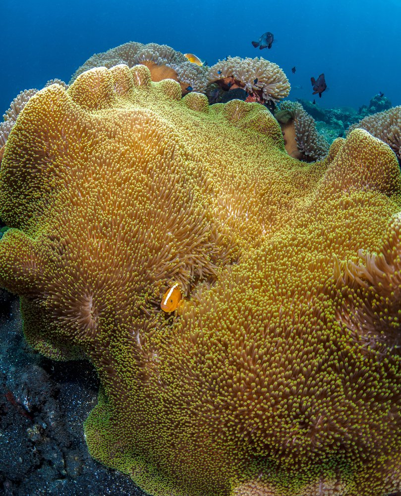 Photograph by Андрей Савин