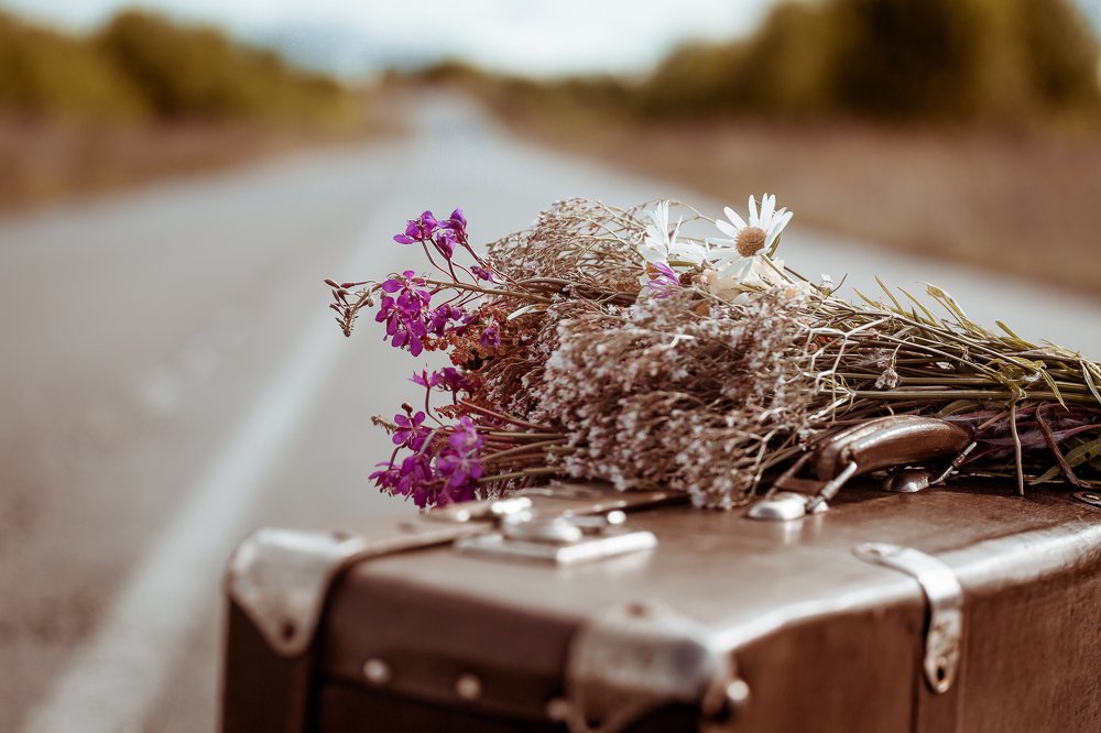 Возвращение домой.