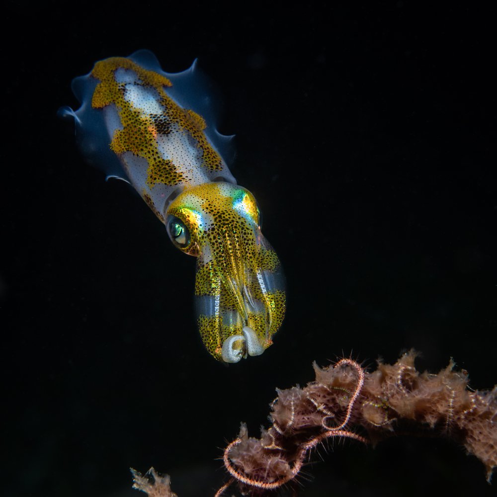 Photograph by Андрей Савин