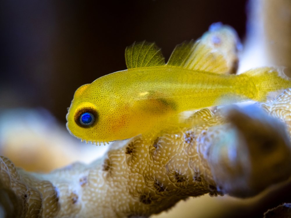 Photograph by Андрей Савин