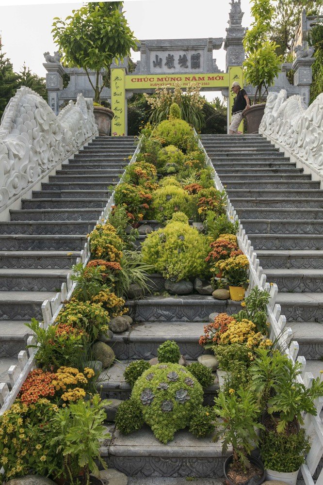 Травяные черепашки