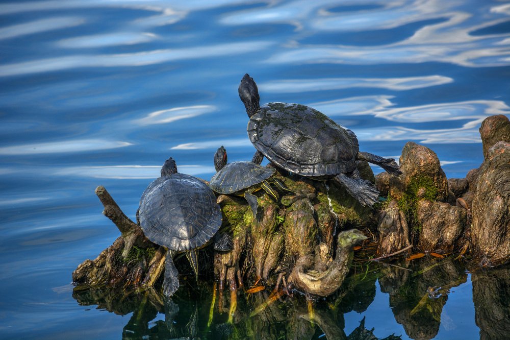 Photograph by ismael martinez