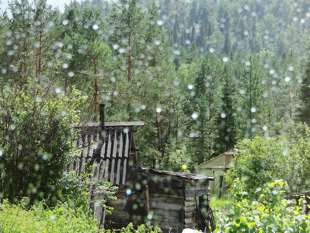 Старая избушка