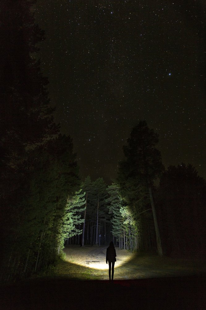 Фотография автора Андрей Логвинович