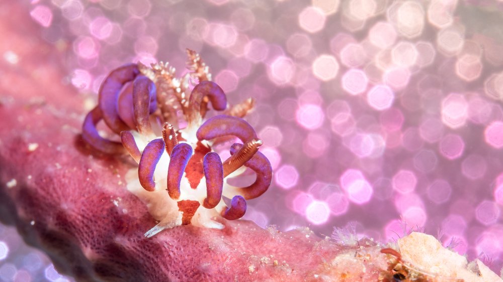 Photograph by Андрей Савин