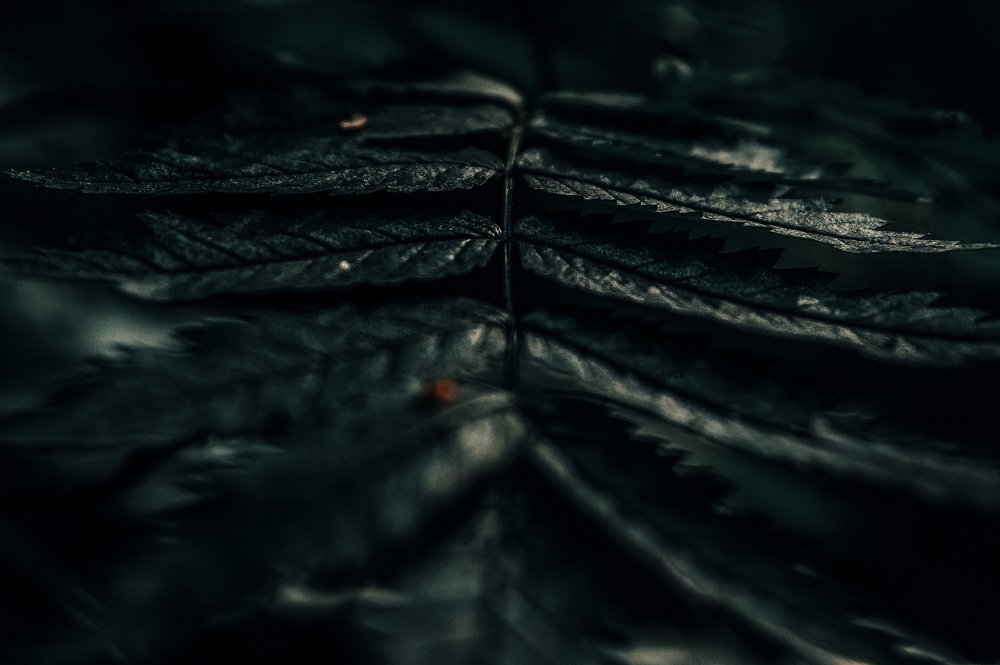 Фотография автора Дмитрий Караваев