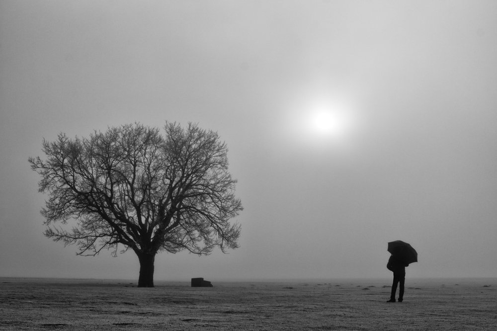 Photograph by Mihai Romeo Bogdan