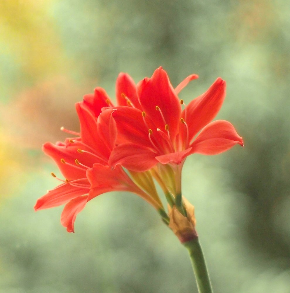 Photograph by Елена Трапезникова