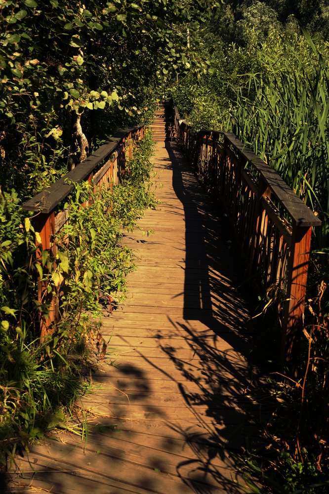 Фотография автора Дмитрий Караваев