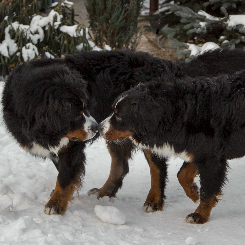 Photograph by Анна Кныш