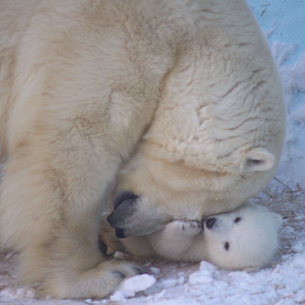 Photograph by Алексей Родак