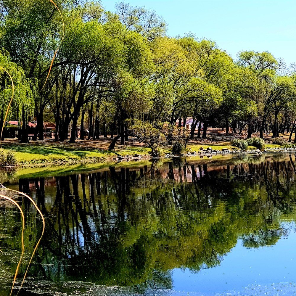 Photograph by Karina Elena Bergagna