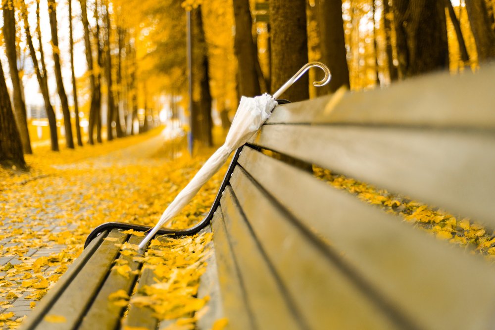 Photograph by Анастасия Гайкова