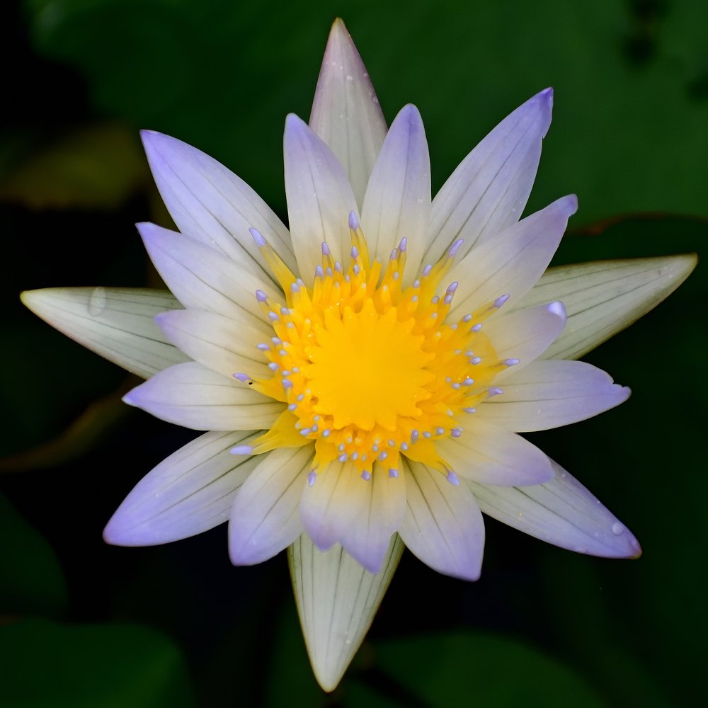 Photograph by Abhishek Kumar