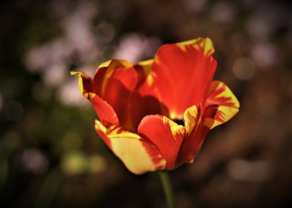 Photograph by Владимир