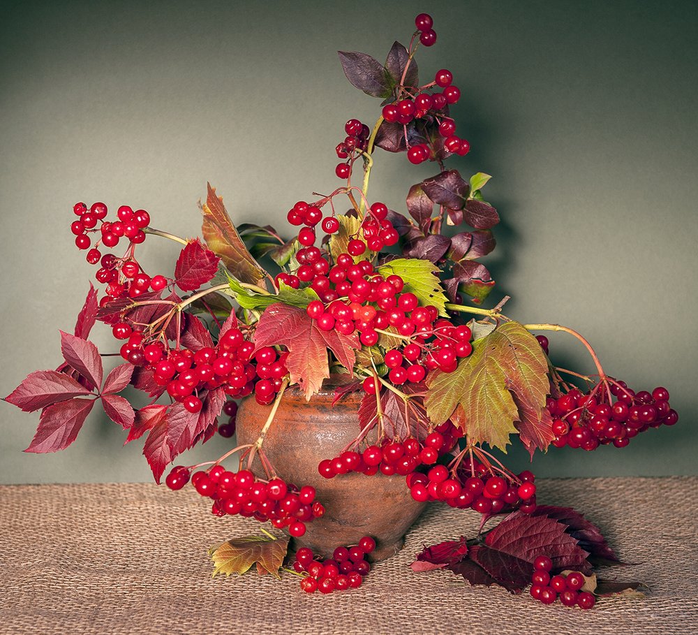 Photograph by Ольга Дядченко