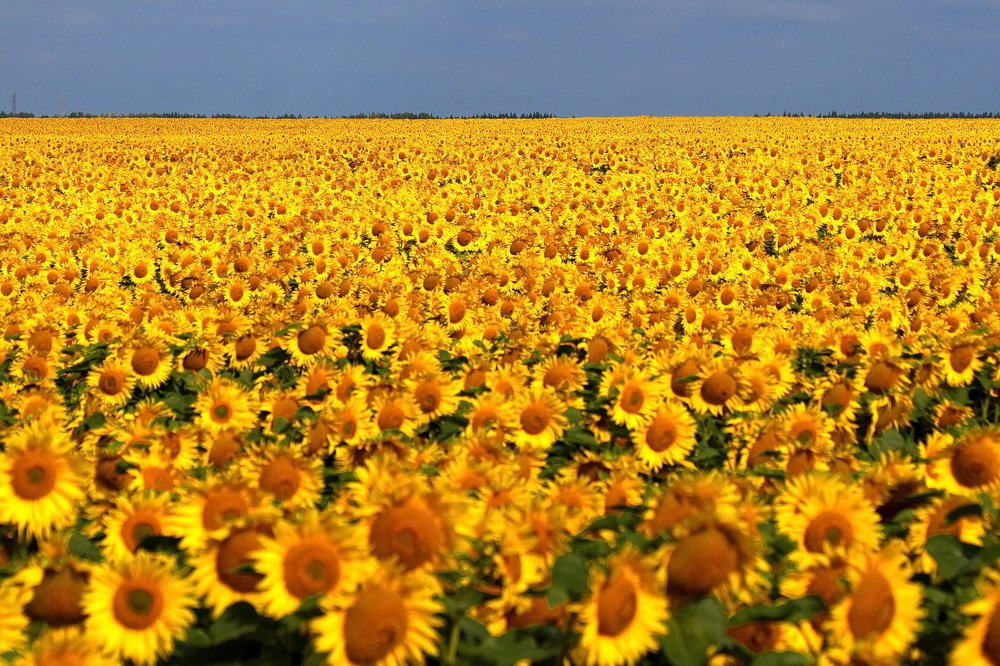 Фотография автора Александр Лукин
