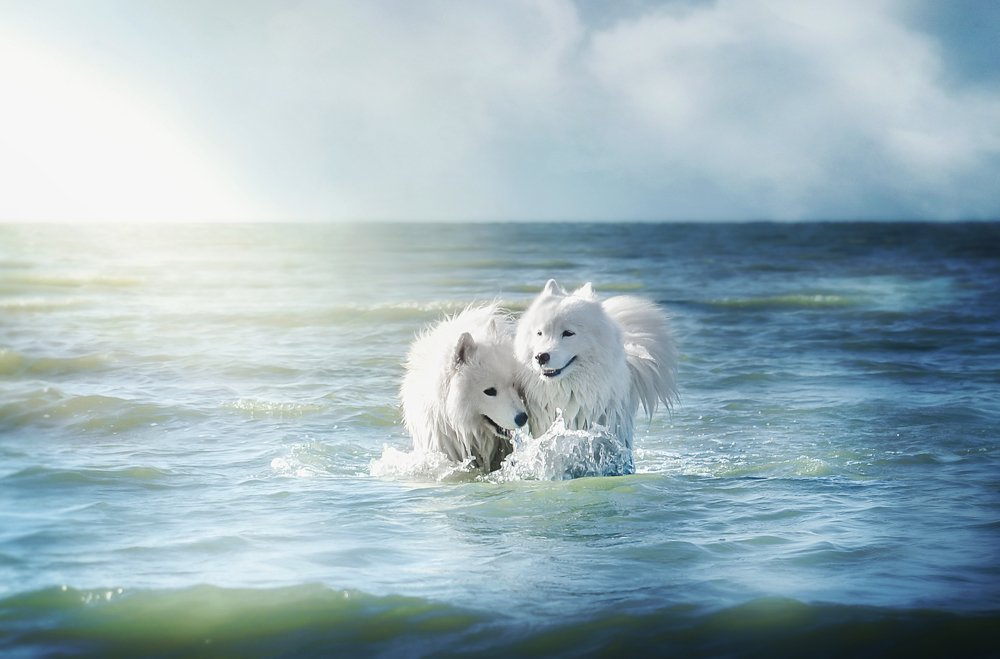 Photograph by Ираида Алексенко