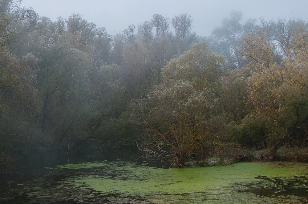 морозное утро