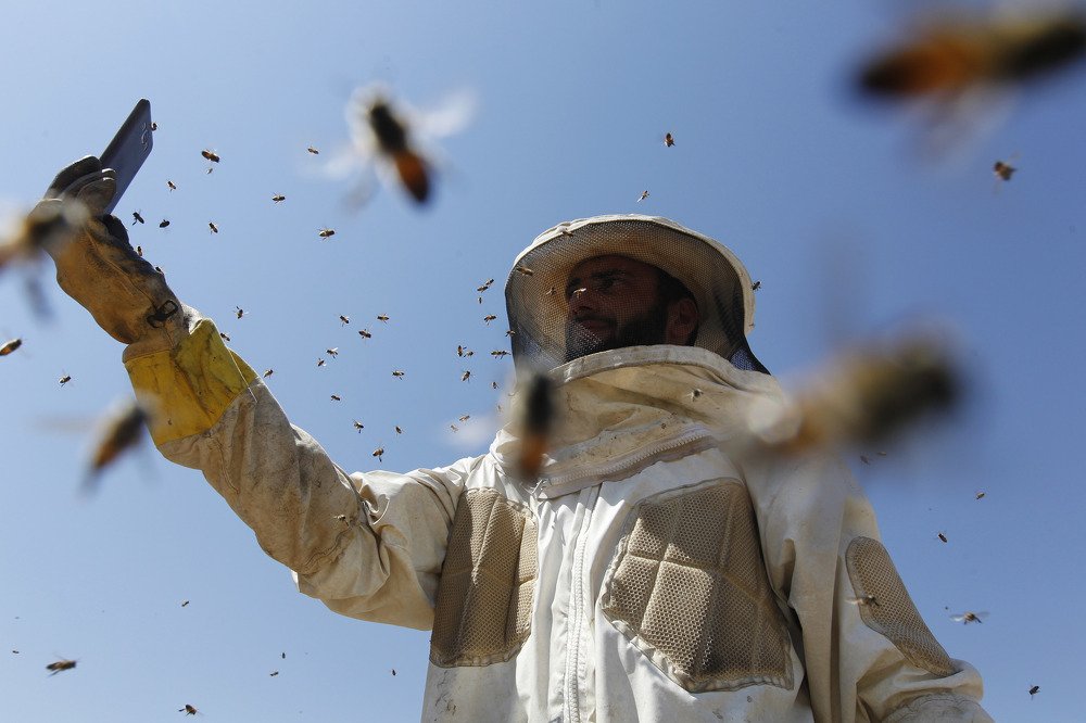 Selfie with bees