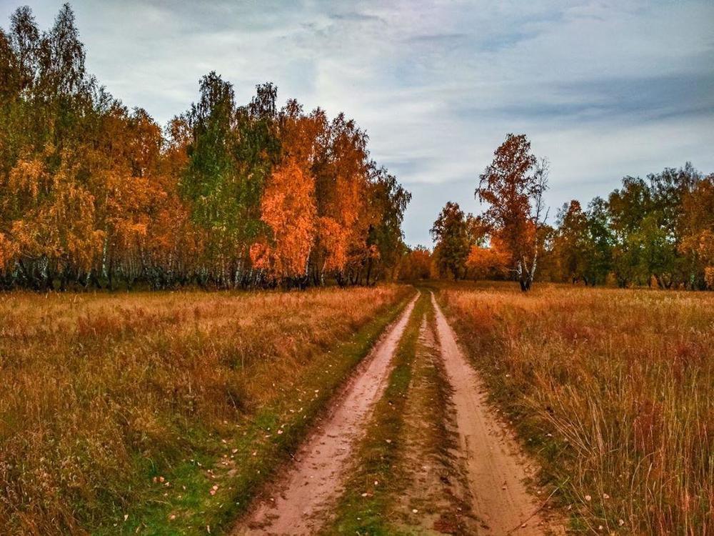 Photograph by Юлия Петракова