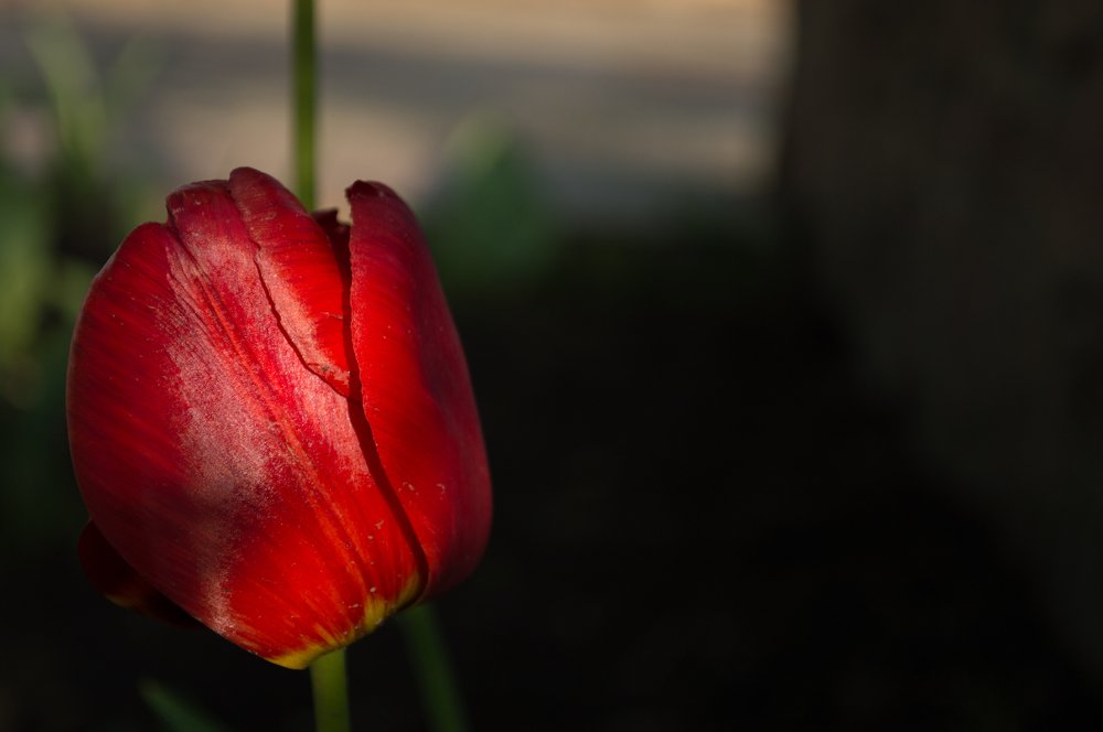 Photograph by Евгений Борисов