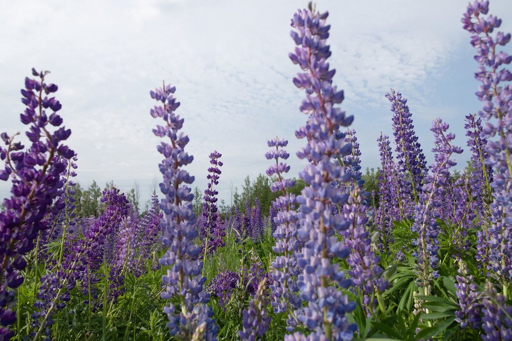 Photograph by Башлаев Константин