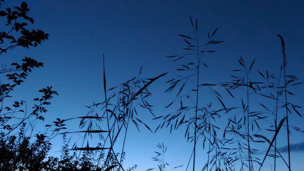 Photo #3652696