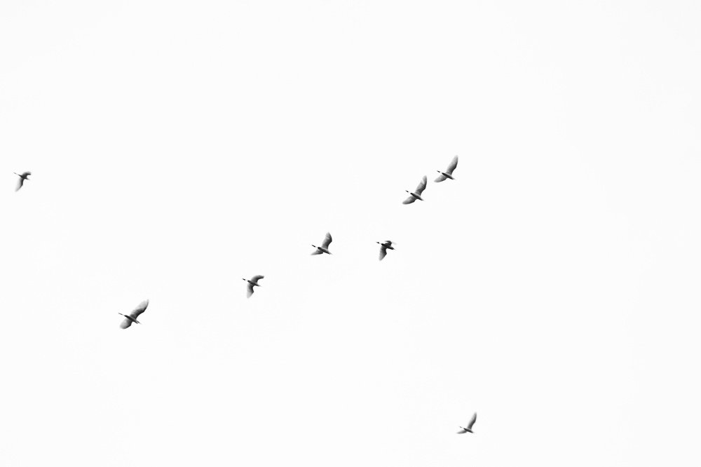 Фотография автора Siska Wulandari