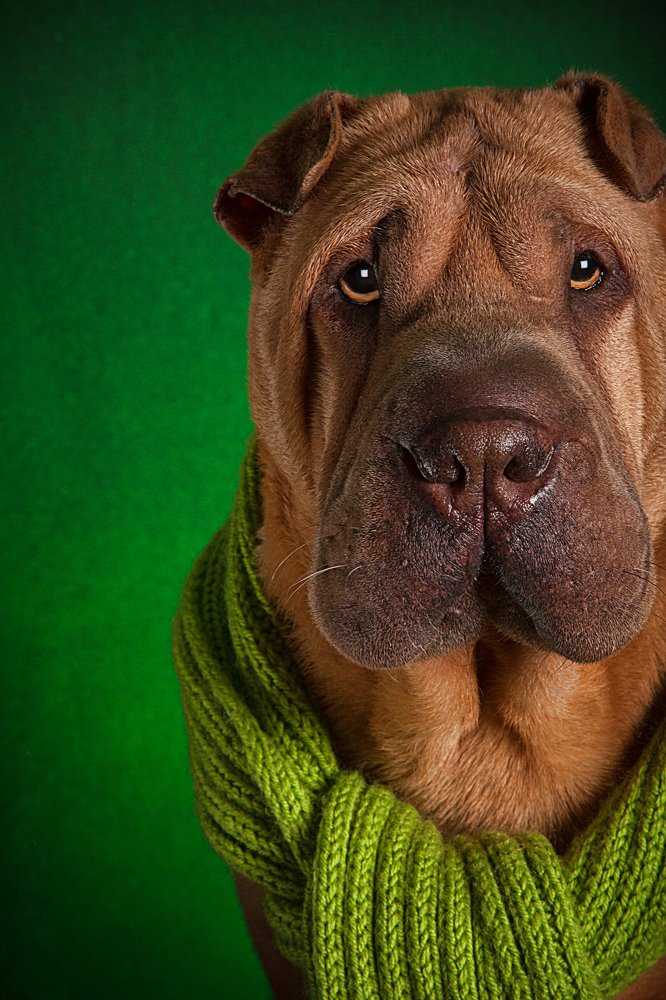 Photograph by Viktoria Baranova