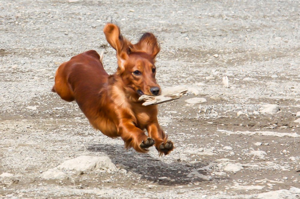 Photograph by Evgeniia Iakimenko