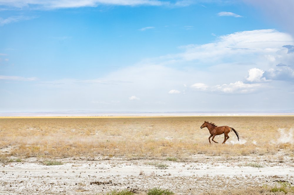 Photograph by Василий Бережной