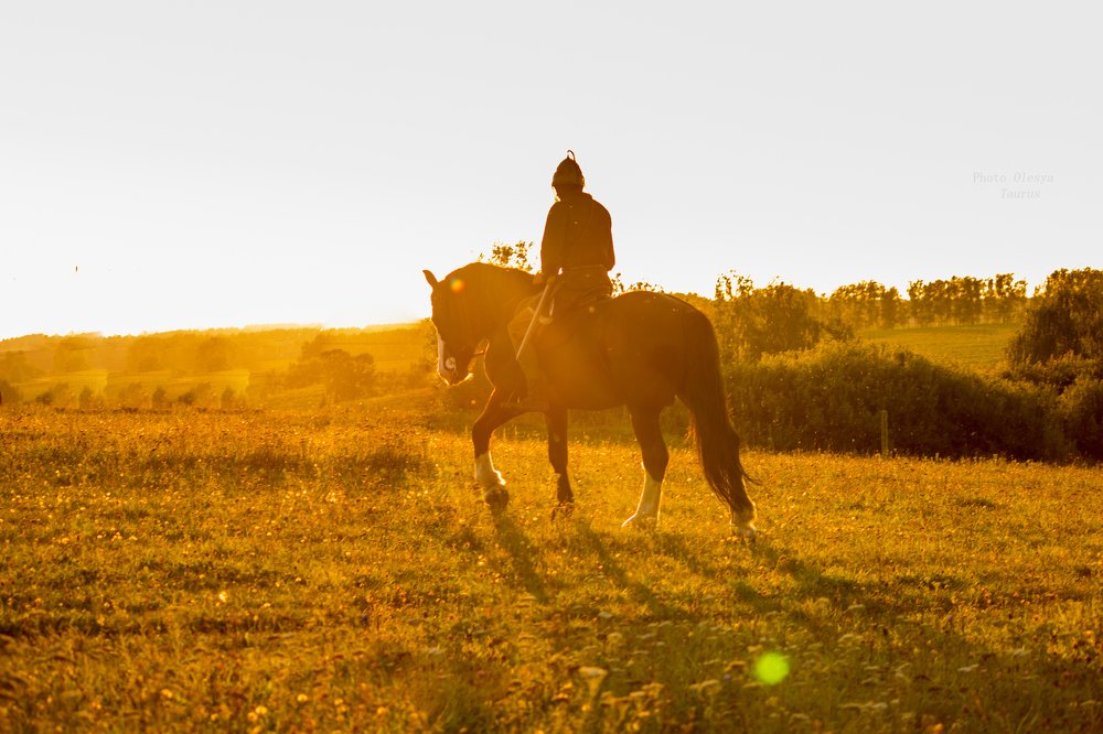 Фотография автора Olesya Taurus