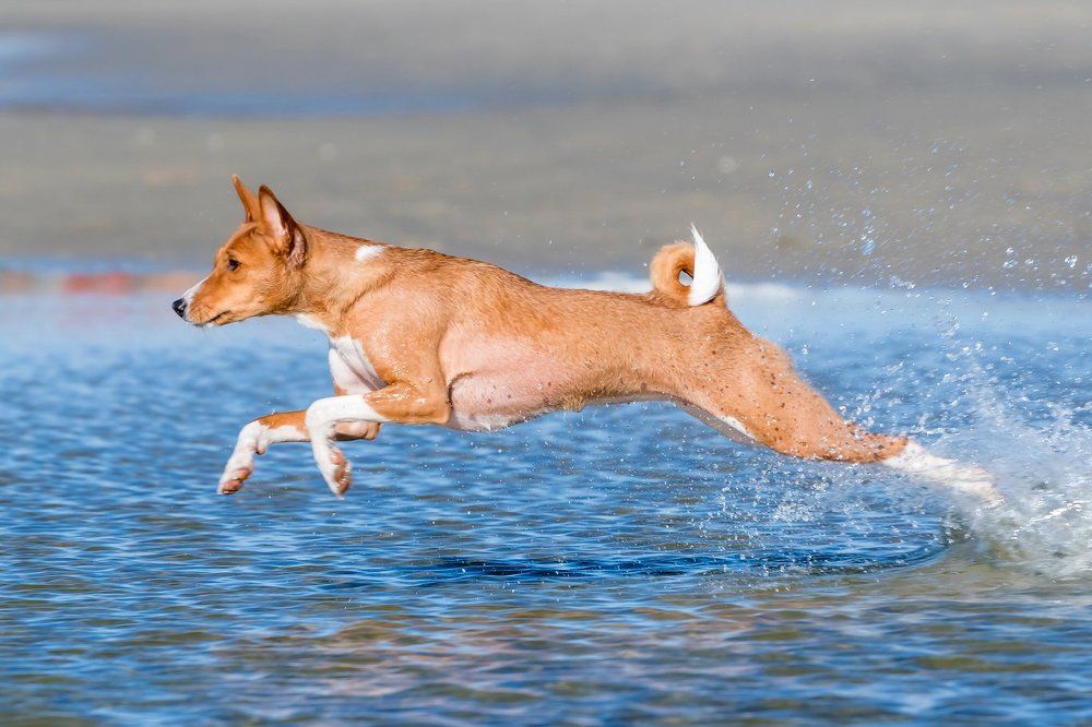 Photograph by Александр Абросимов