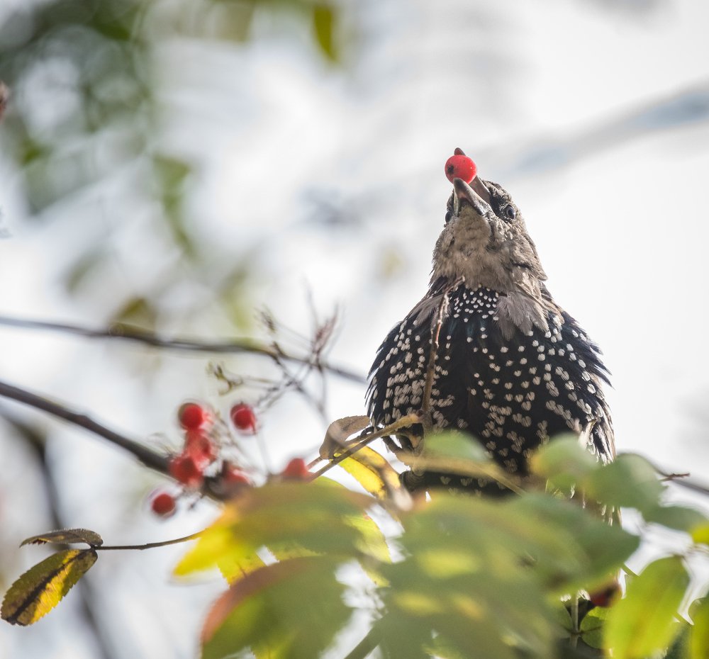 Photograph by Курлянцев Алексей