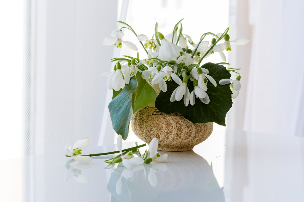 Белые подснежники в вазе