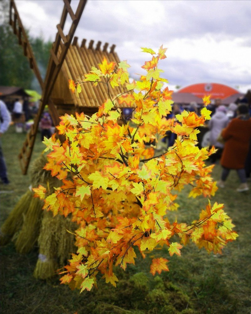 Photograph by Татьяна Чернышова