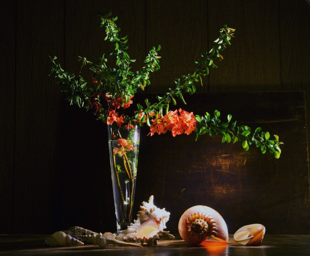 Photograph by Ali Boyko