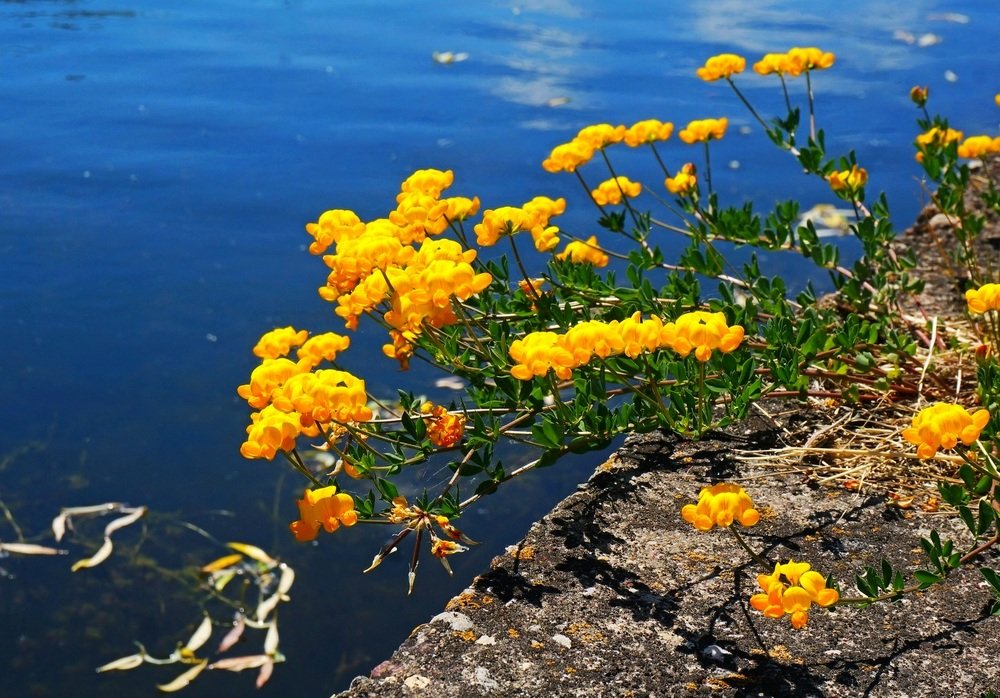 Солнечный день