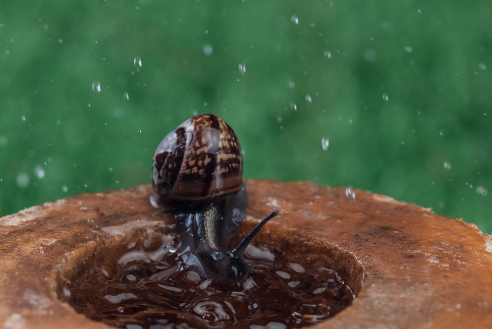 Фотография автора Кирилл Сизов