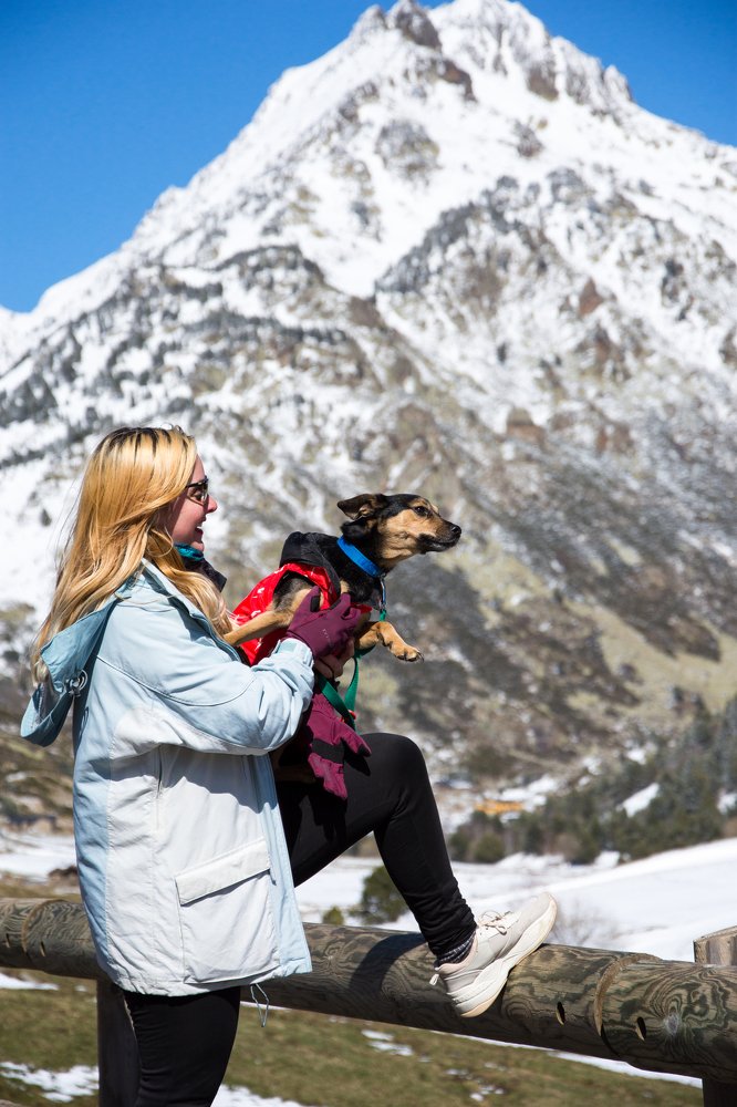 Фотография автора Fernando
