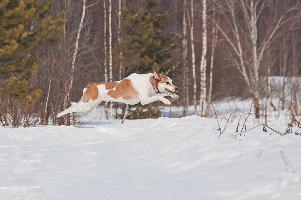 Photograph by Ольга Мурзина