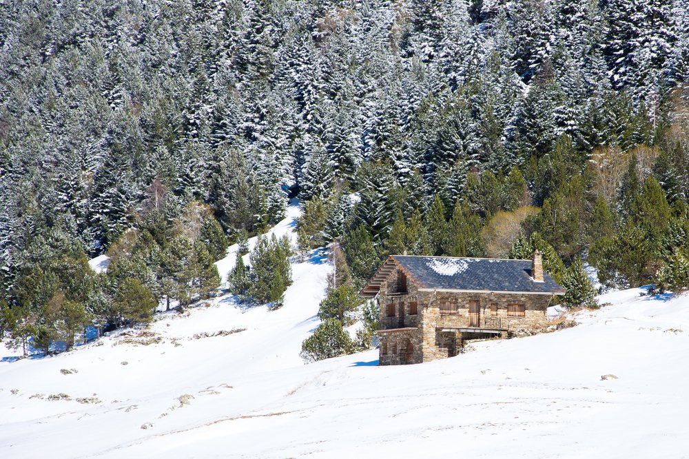 Фотография автора Fernando