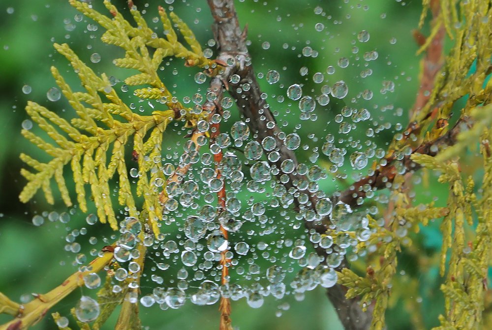 Photograph by Айдын Мехтиев