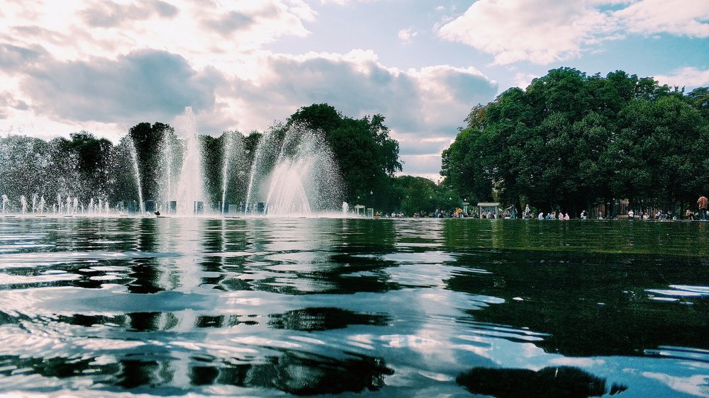 Photo #3653325