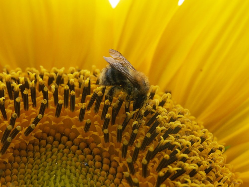 Photograph by Janusz Gorgon