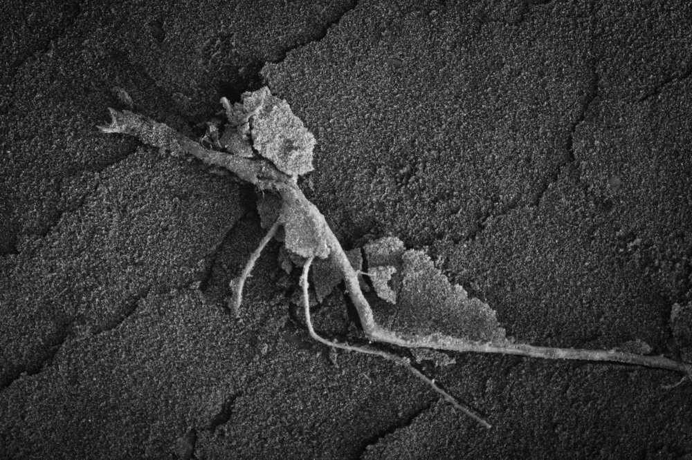 Photograph by Владимир Герасимиди