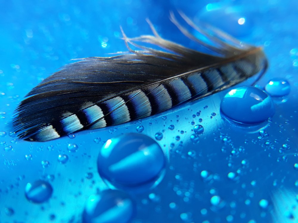 Photograph by Светлана Бузина