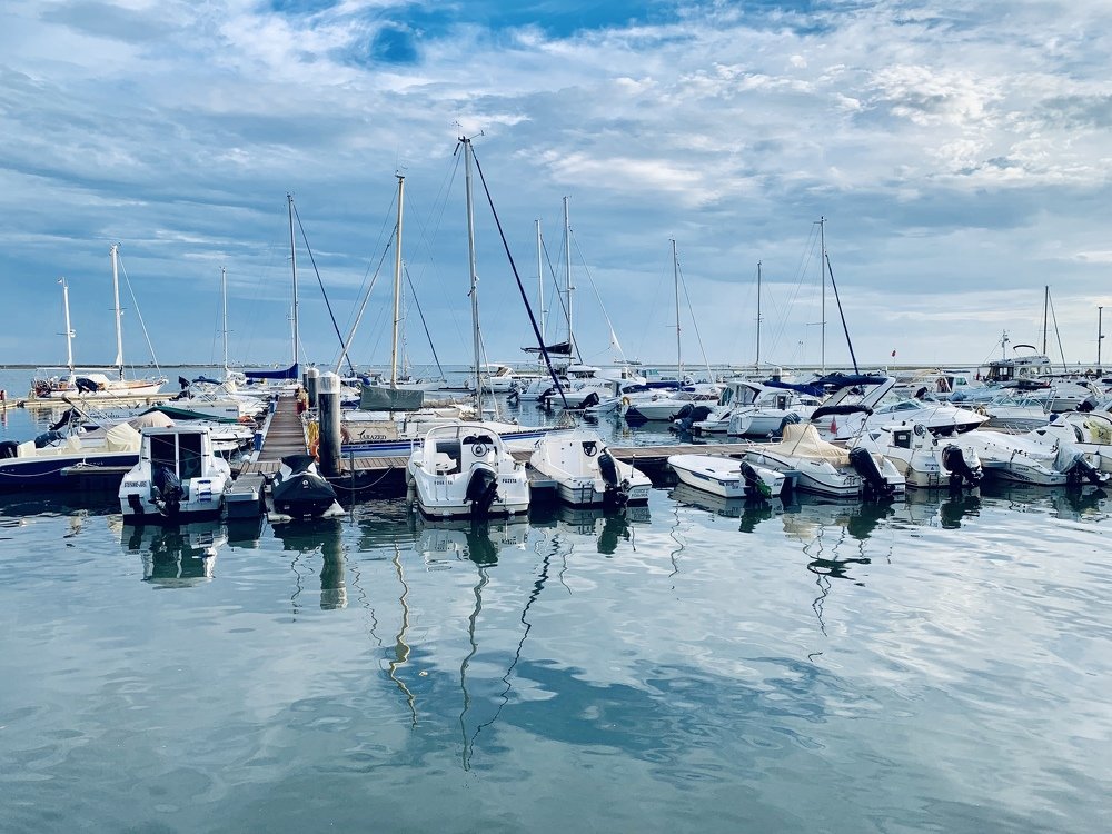 Photograph by Olga Pereira