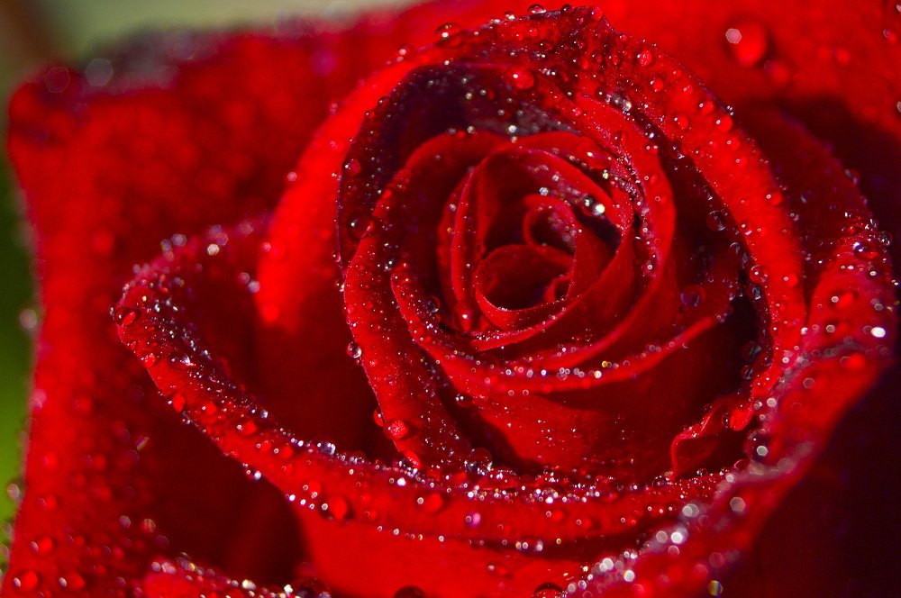 Фотография автора Билан Виктория